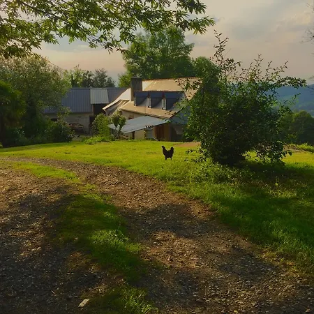 Farm stay Ferme Bazy *